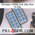 Kamagra 100Mg Oral Jelly How To Use 23